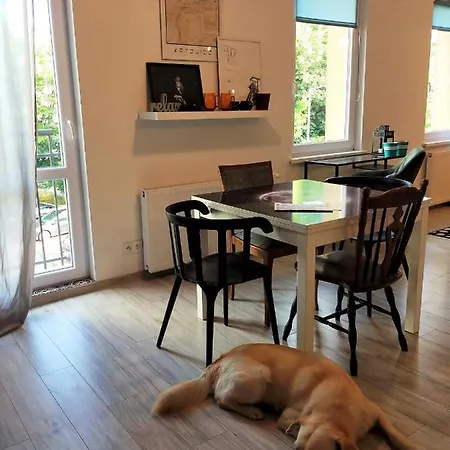 Gryfny Grubiorz Katowice