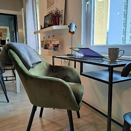 Gryfny Grubiorz Appartamento Katowice