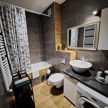 Gryfny Grubiorz Appartamento Katowice