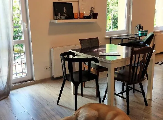 Gryfny Grubiorz Katoviçe