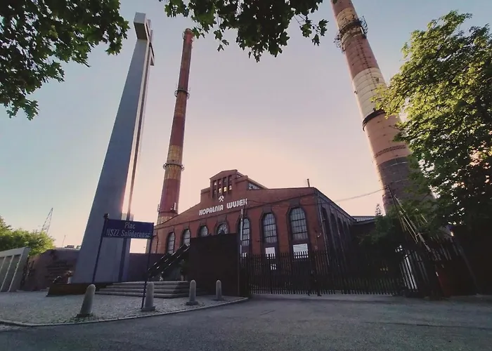 Gryfny Grubiorz Katoviçe